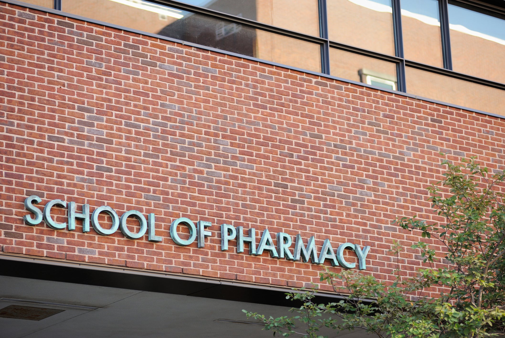 School of Pharmacy 