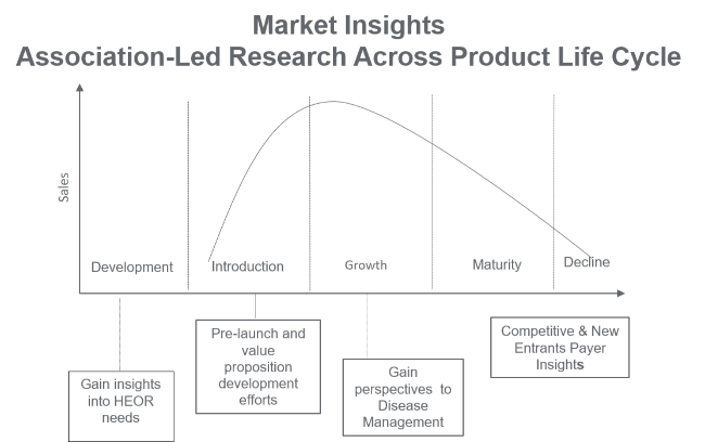 Market Insights life cycle