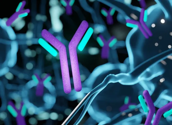 Bispecific Antibodies