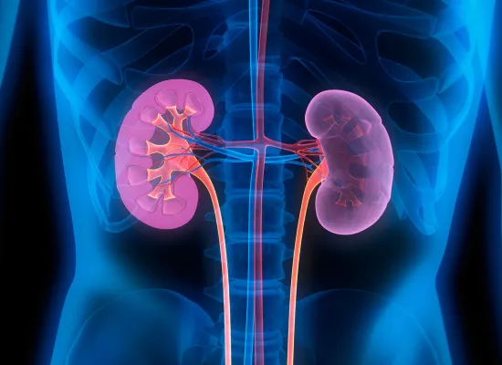 Chronic Kidney Disease