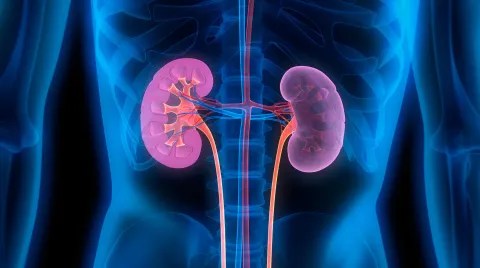 Chronic Kidney Disease